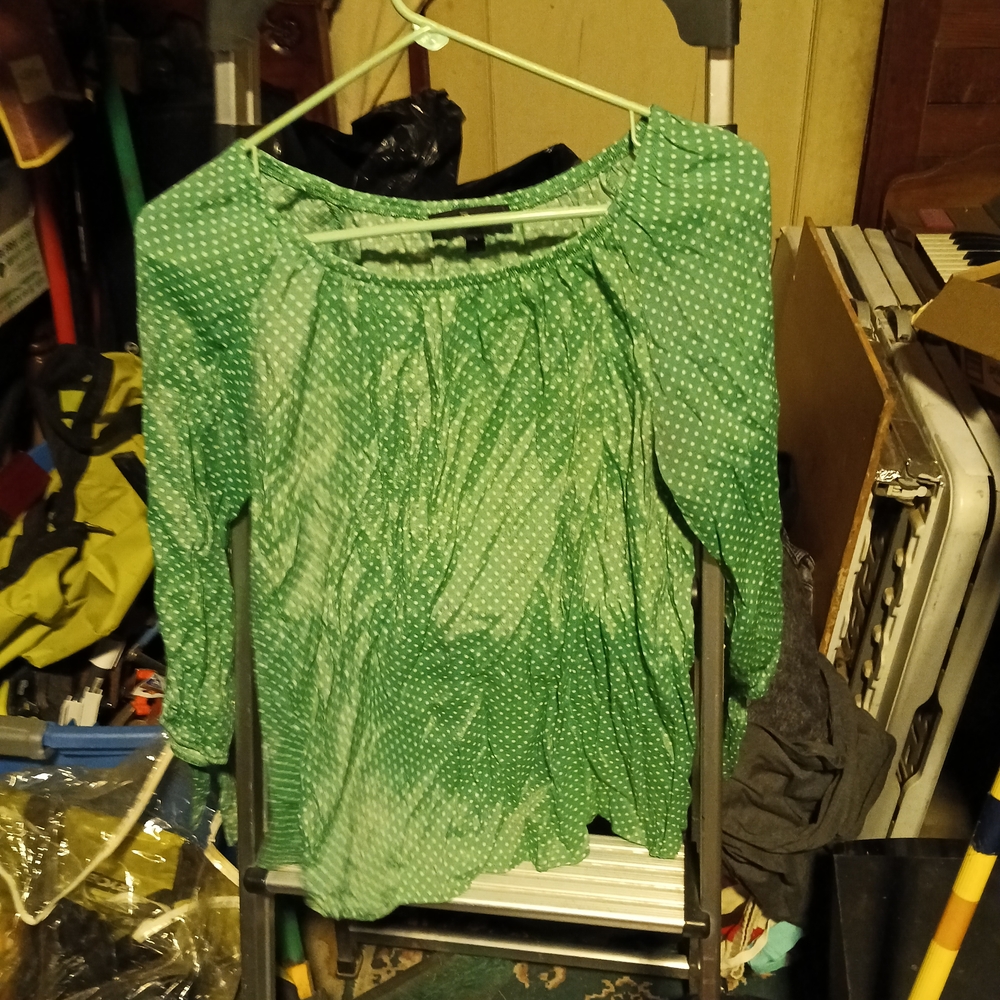 Fred David Green Dotted Blouse